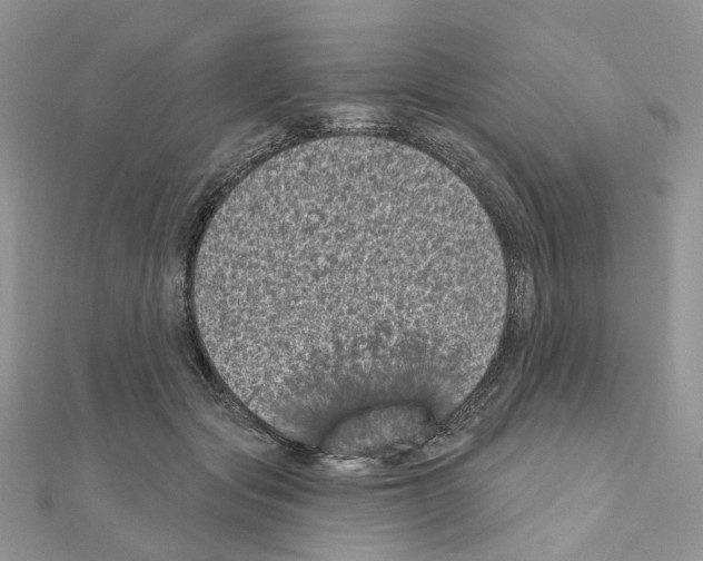 X0000111000557200907311033