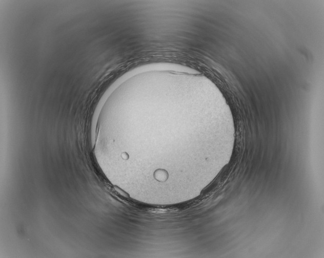 X0000111000558200907311033