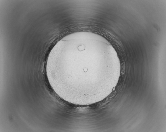 X0000111000560200907311033