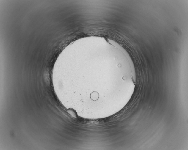 X0000111000562200907311033