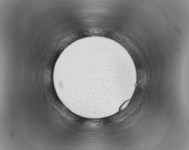 X0000111000563200907311033