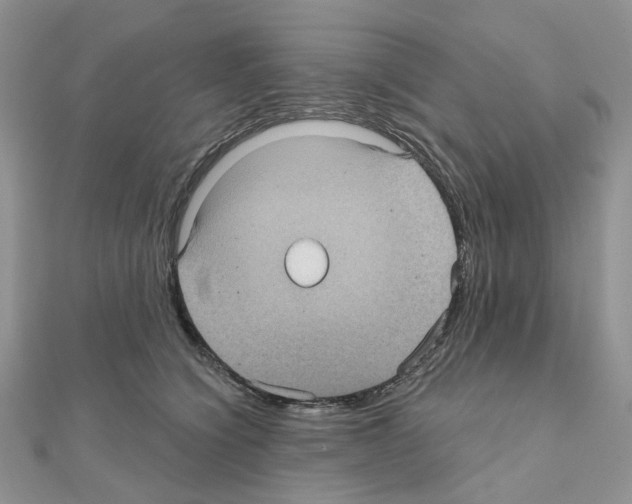 X0000111000564200907311033