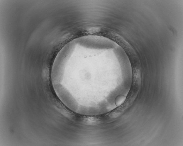 X0000111000565200907311033