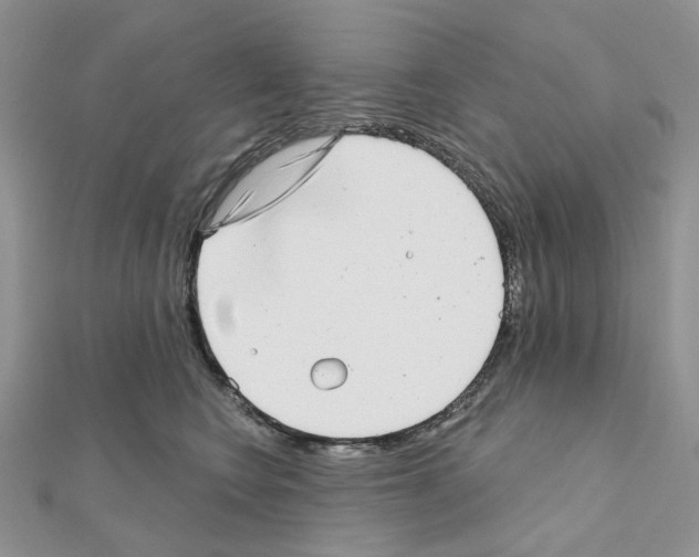 X0000111000566200907311033