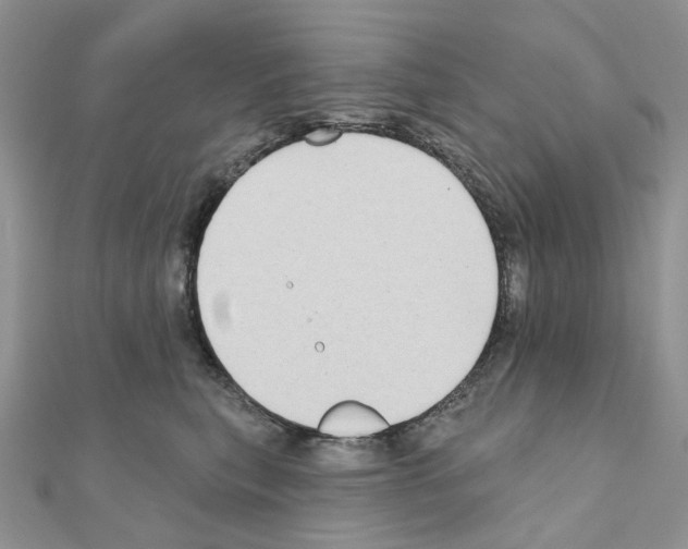 X0000111000567200907311033