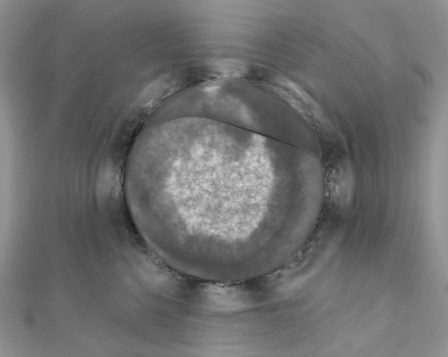 X0000111000568200907311033