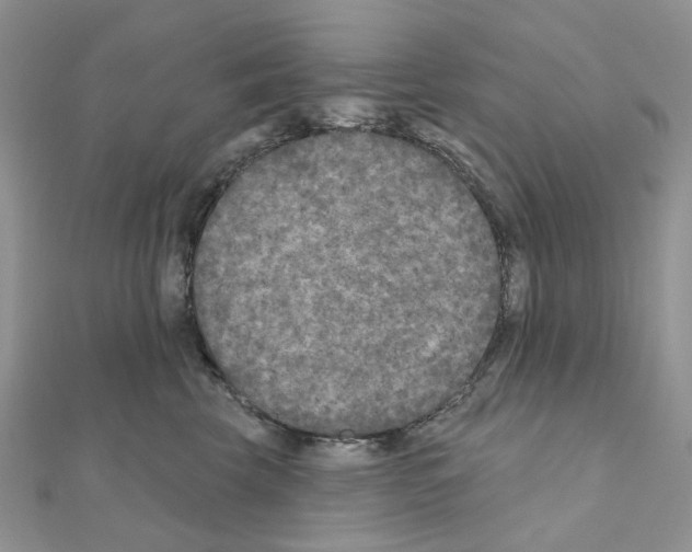 X0000111000569200907311033