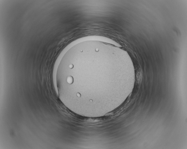 X0000111000570200907311033