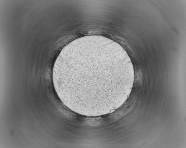 X0000111000571200907311033