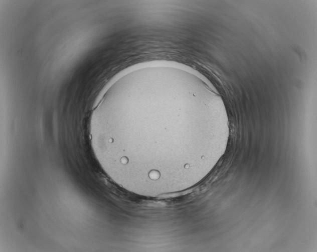 X0000111000572200907311033