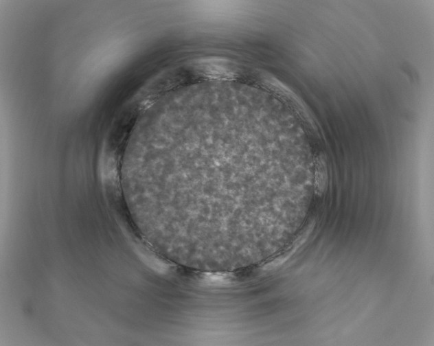 X0000111000573200907311033