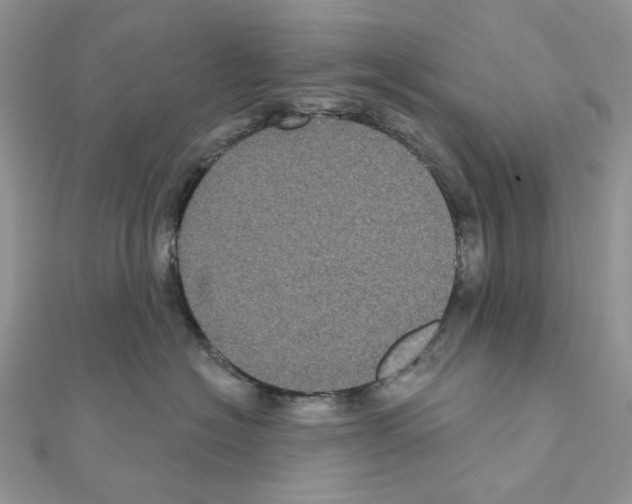 X0000111000574200907311033