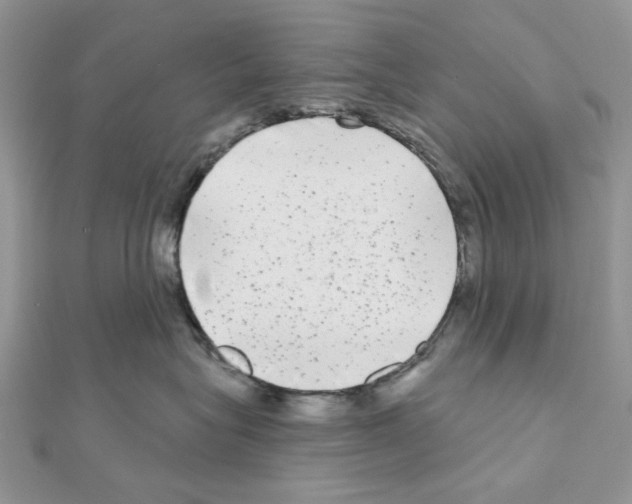 X0000111000575200907311033