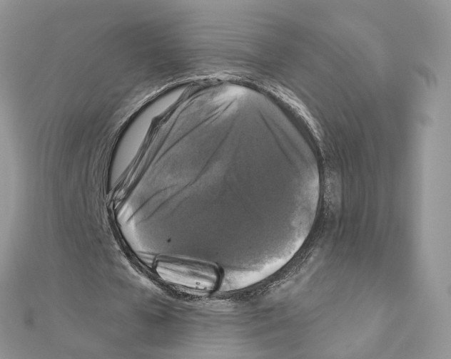 X0000111000577200907311033