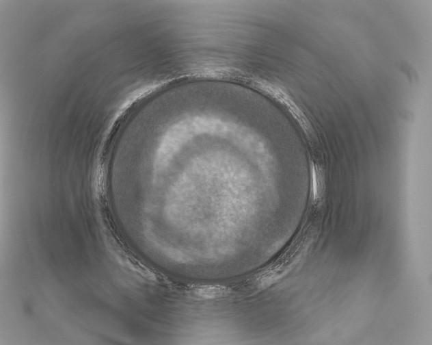 X0000111000579200907311033