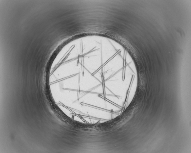 X0000111000580200907311033