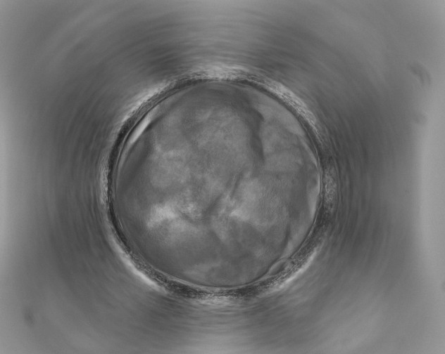 X0000111000581200907311033