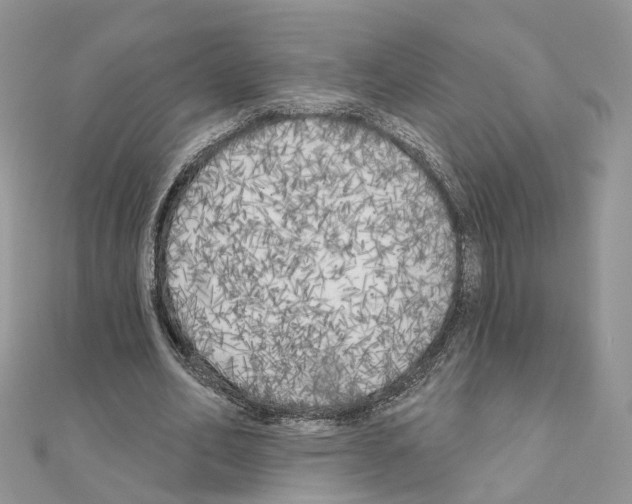 X0000111000582200907311033