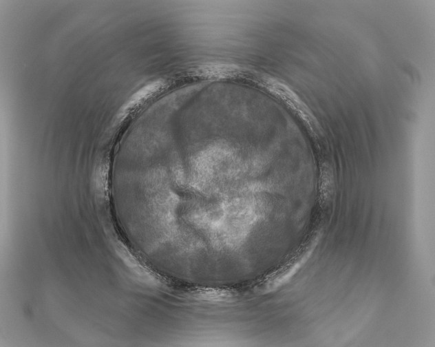 X0000111000585200907311032