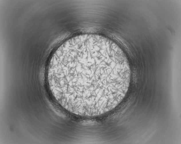 X0000111000586200907311032