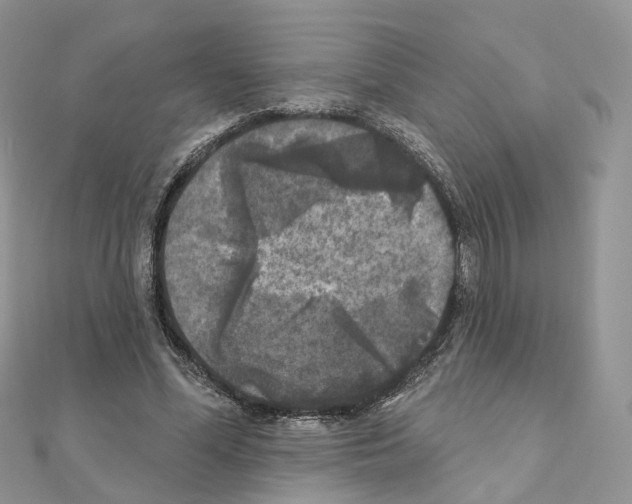 X0000111000588200907311032