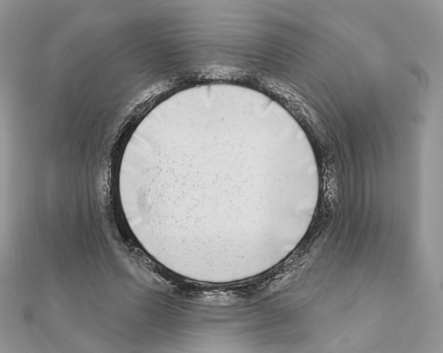 X0000111000591200907311032