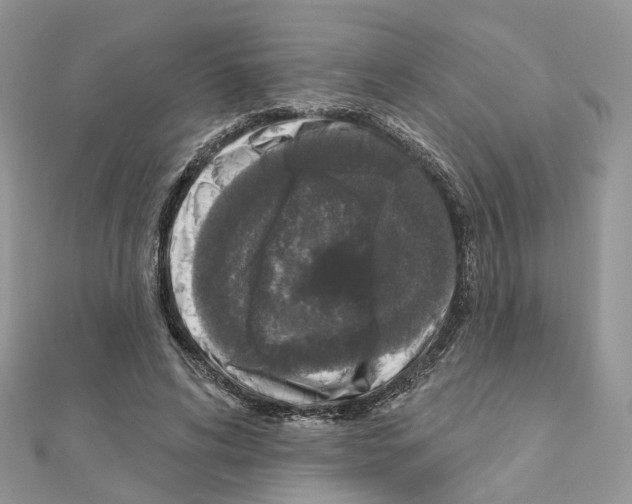 X0000111000592200907311032