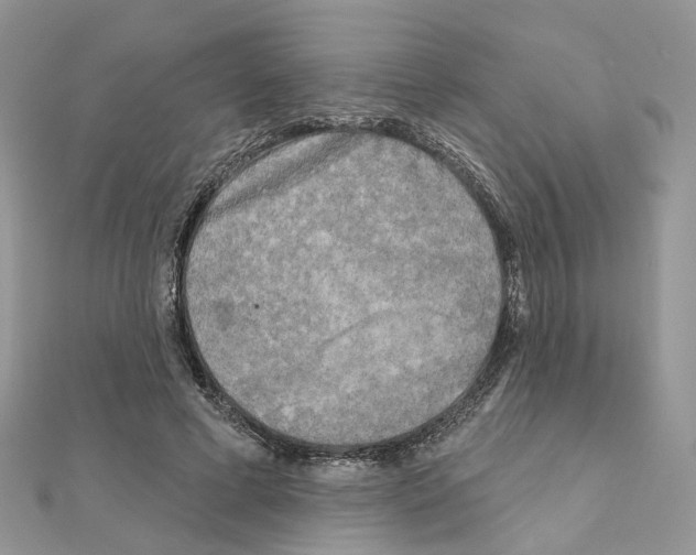 X0000111000593200907311032