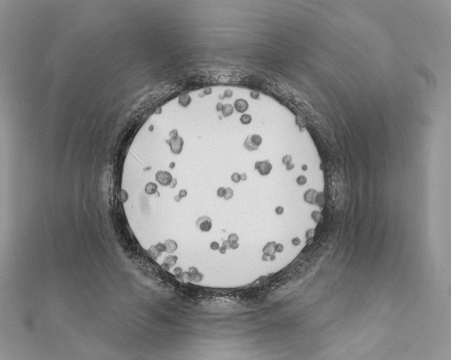 X0000111000594200907311032