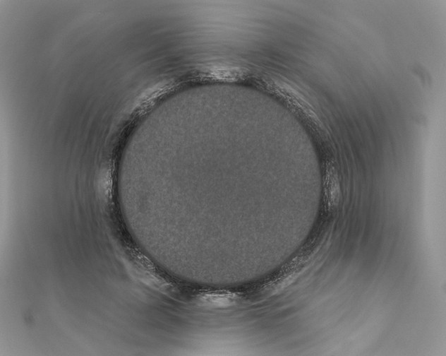 X0000111000595200907311032