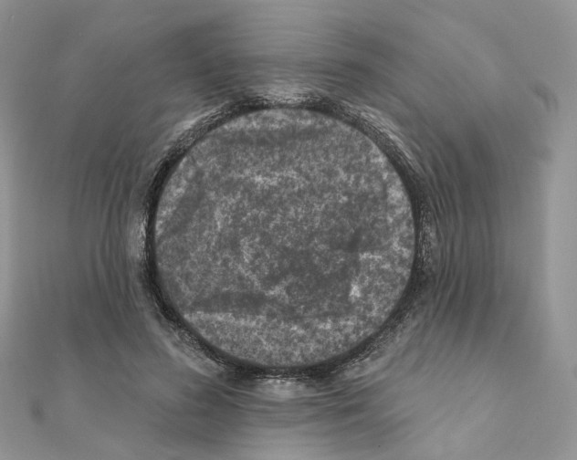 X0000111000596200907311032