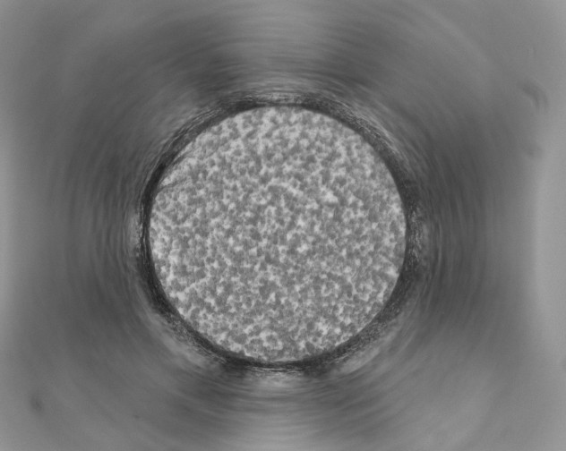 X0000111000597200907311032