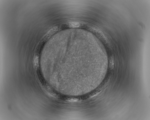 X0000111000598200907311032