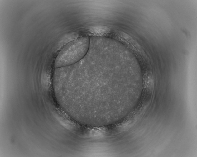 X0000111000599200907311032