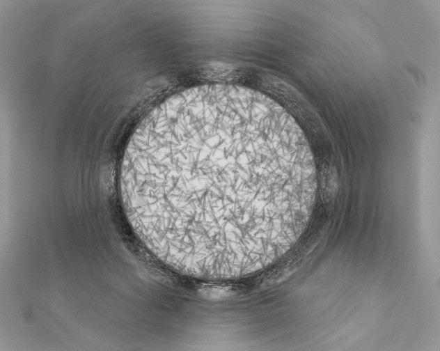 X0000111000602200907311032