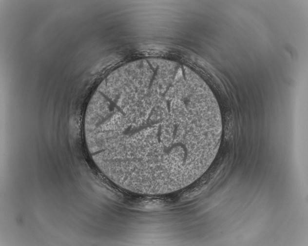 X0000111000604200907311032