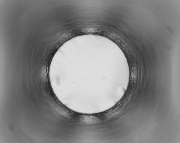 X0000111000605200907311032