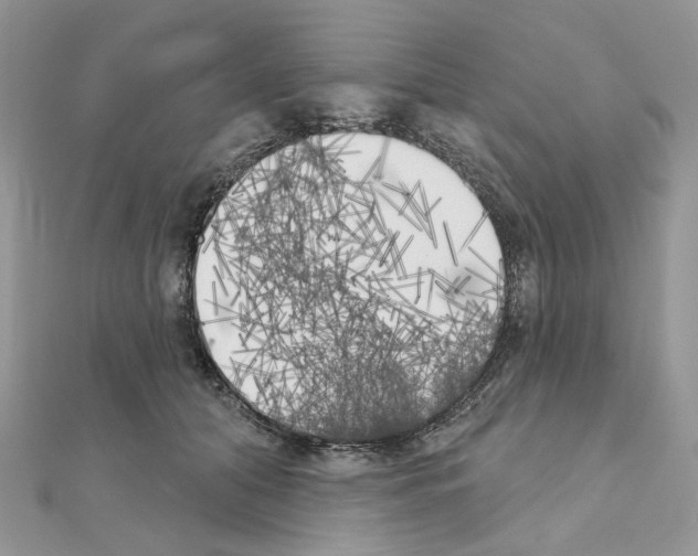 X0000111000608200907311032