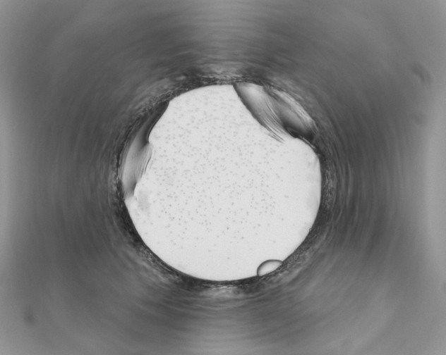 X0000111000609200907311032