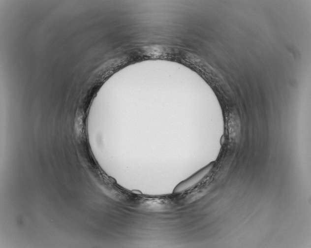 X0000111000611200907311032