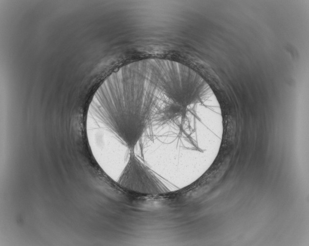 X0000111000612200907311032