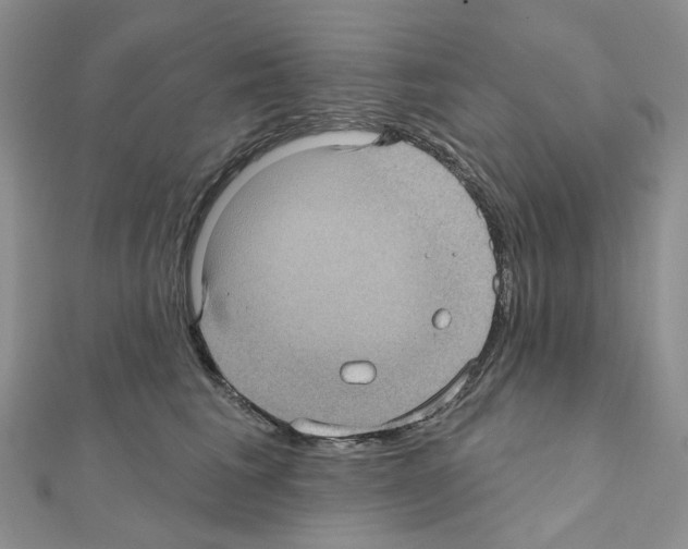 X0000111000613200907311032