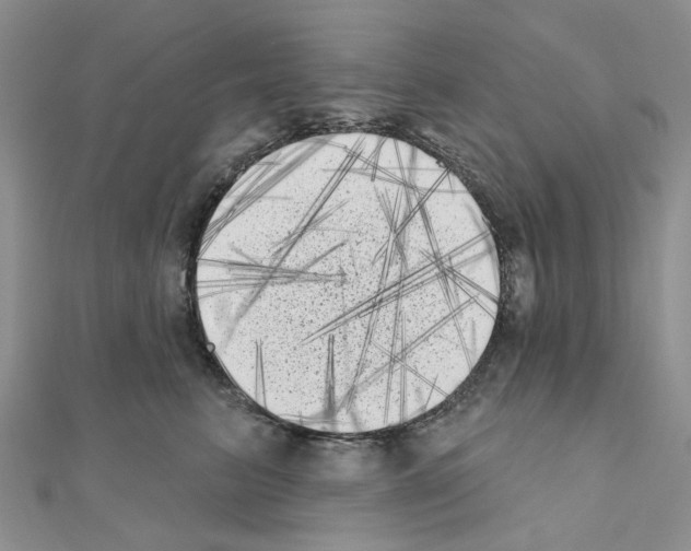 X0000111000615200907311032