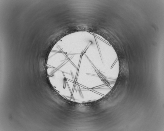 X0000111000616200907311032