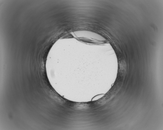 X0000111000617200907311032