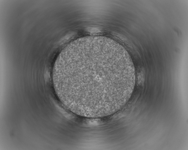 X0000111000618200907311032