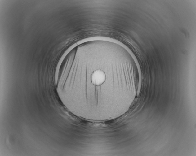 X0000111000621200907311032