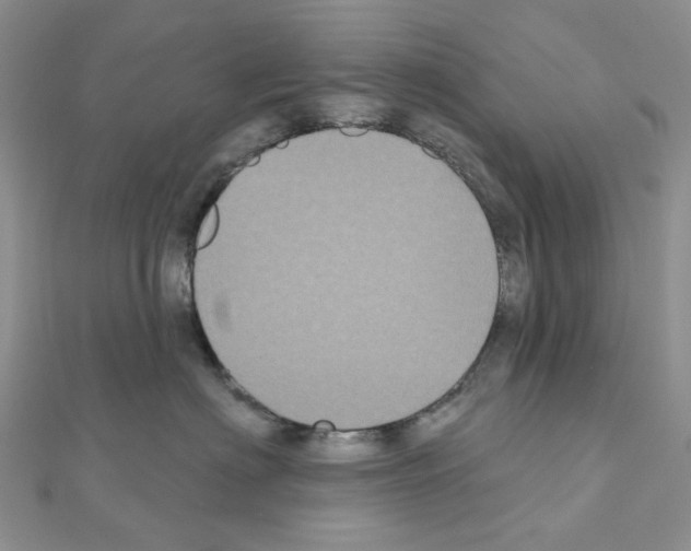 X0000111000622200907311032