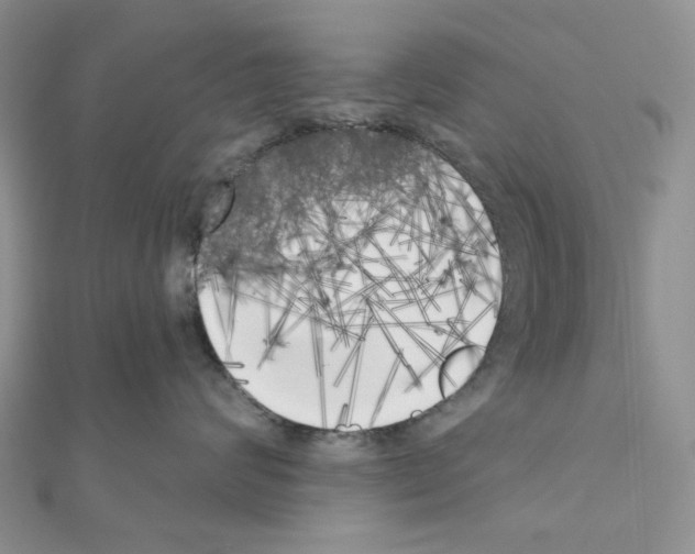 X0000111000624200907311032