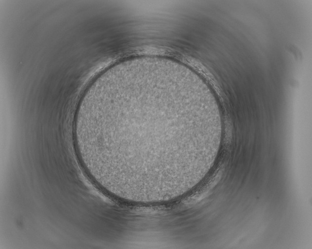 X0000111000625200907311031